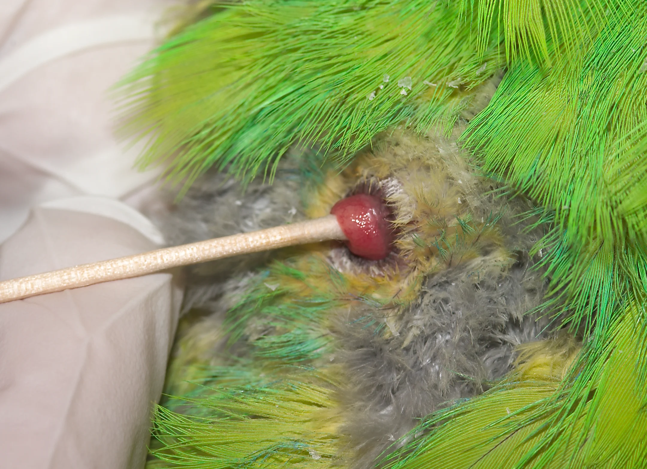 Featured Image