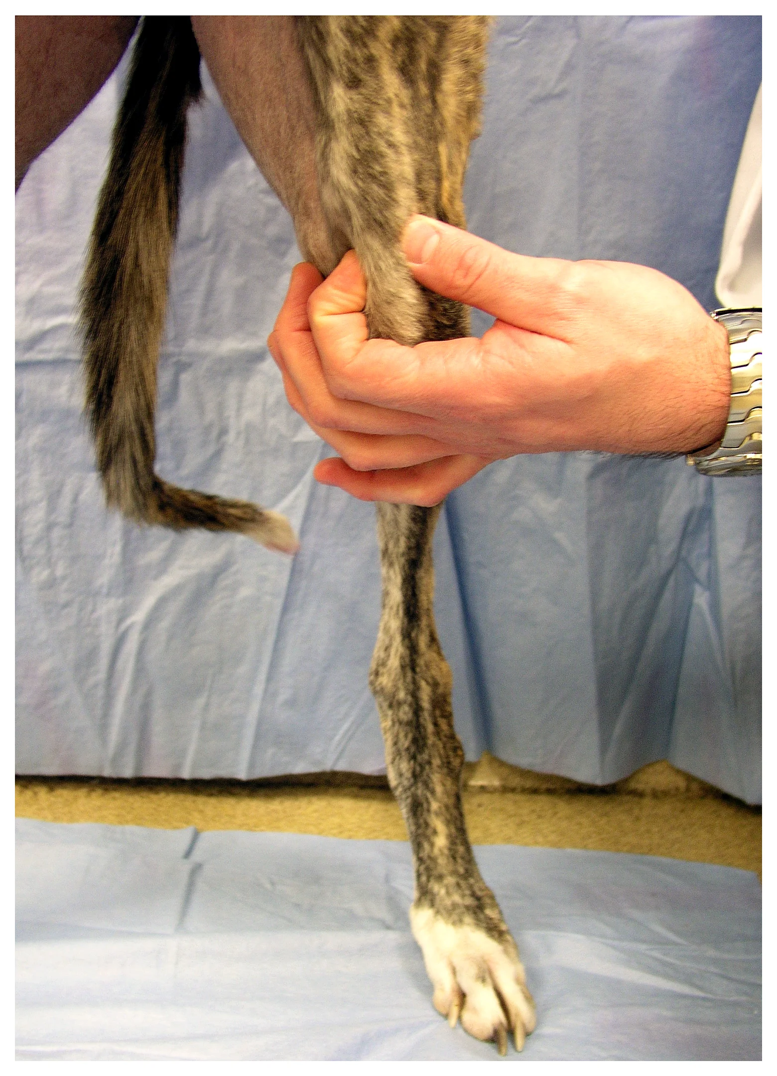 selected slide image