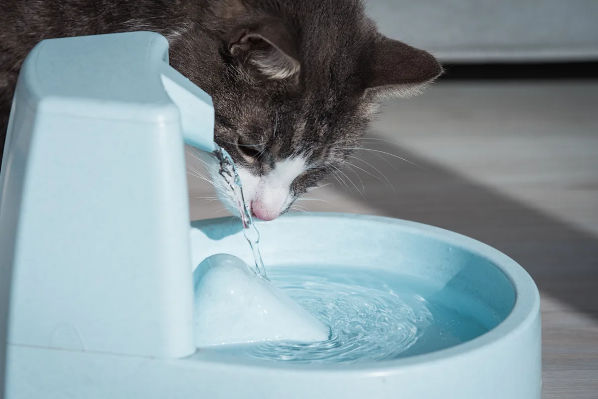 A cat drinking from a water fountain.
