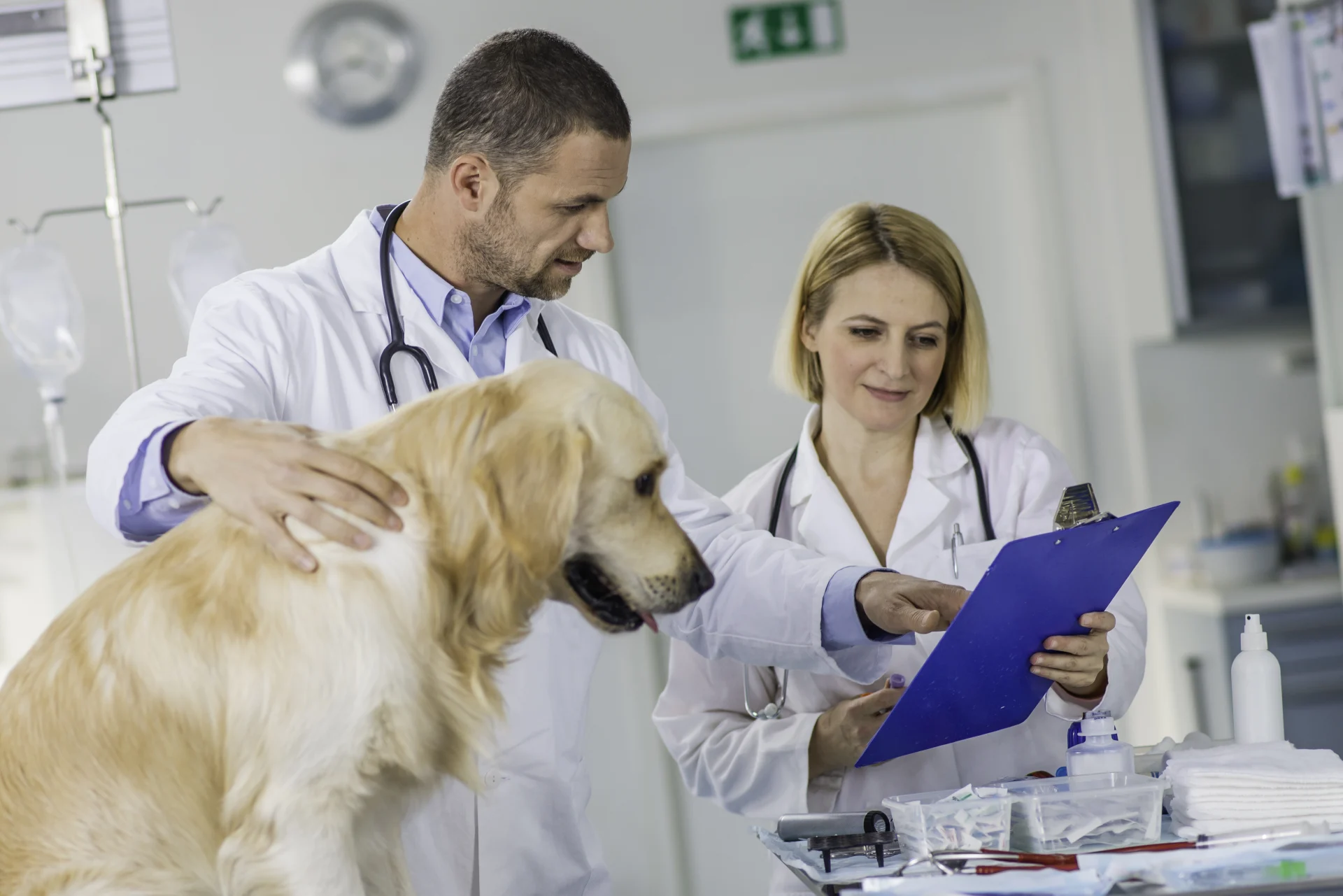 Canine Care & Nutrition: A Clinical Case Series