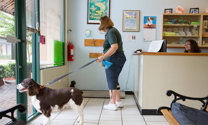 a woman with her dog in a veterinary waiting room
