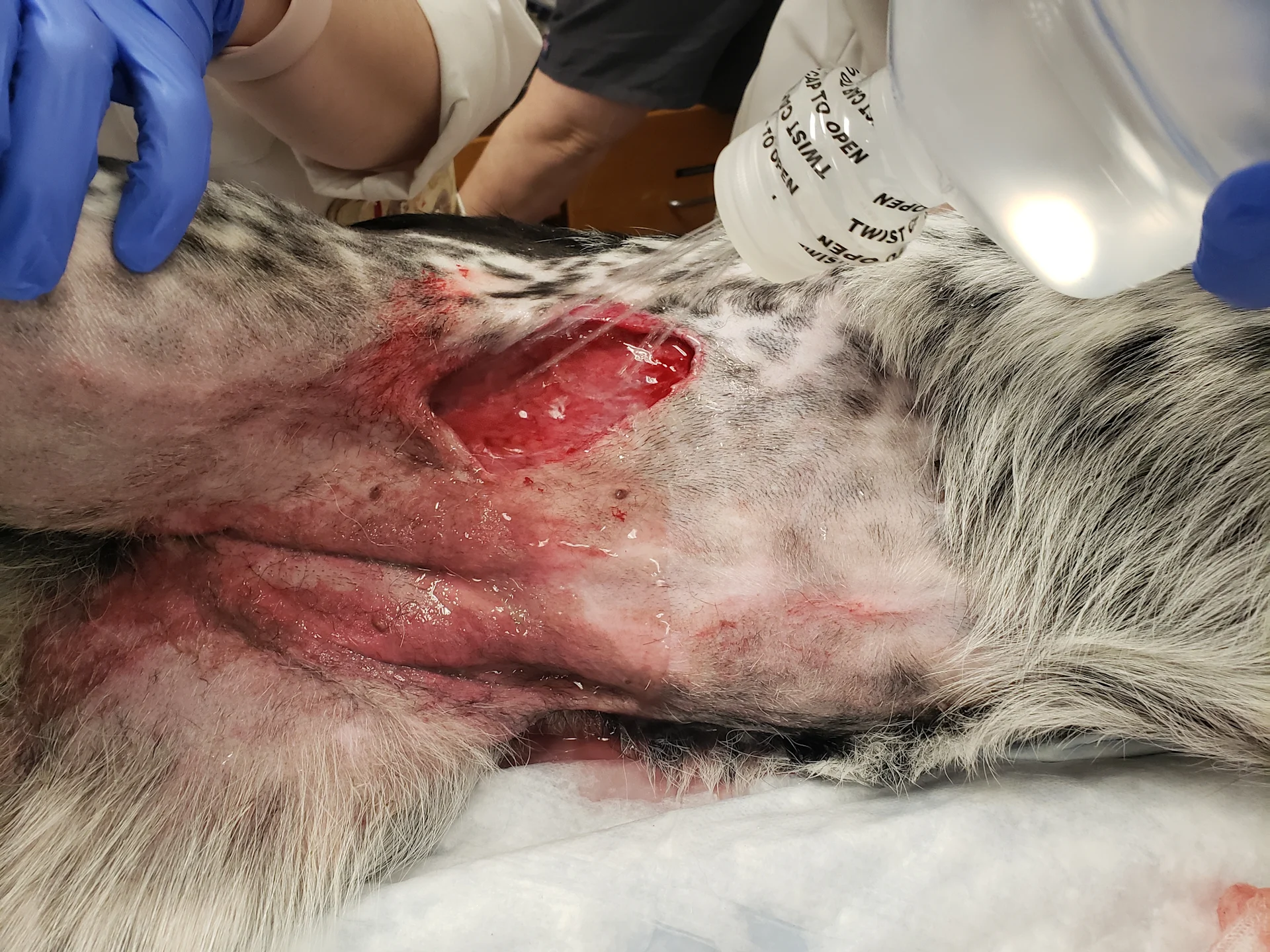 selected slide image