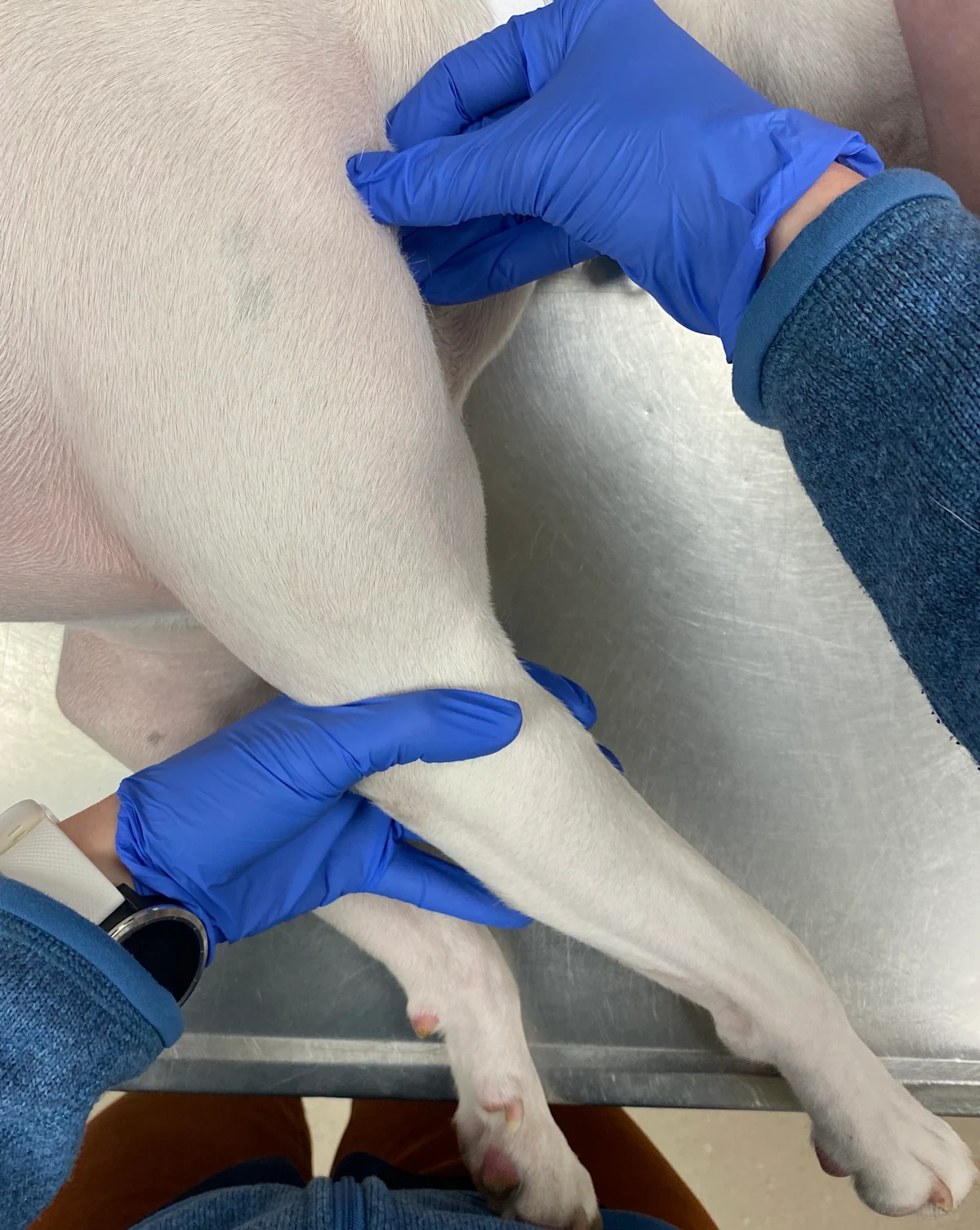 selected slide image