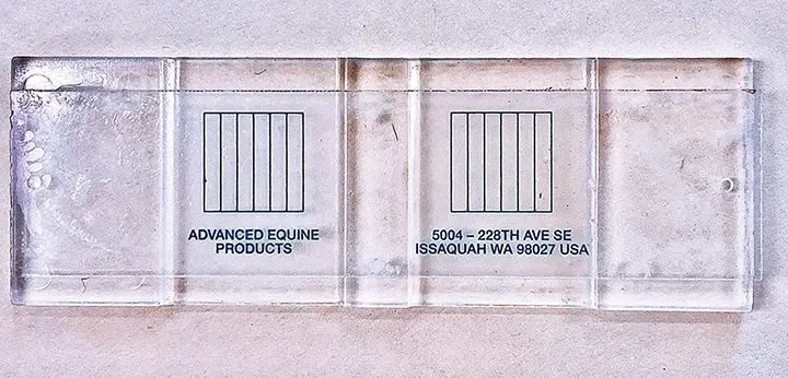 selected slide image