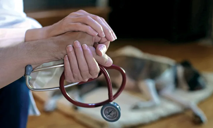 Veterinary professional holding a client's hand with a dog resting in the background.