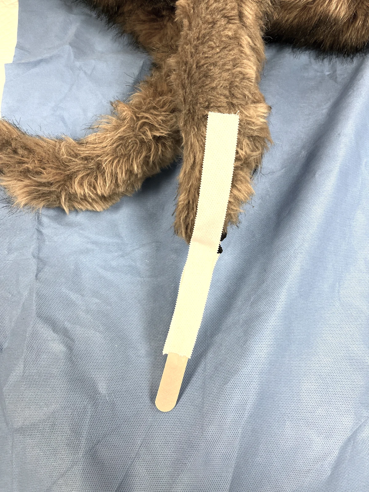 Tape stirrups with a tongue depressor separating medial and lateral strips on the forelimb of a dog.