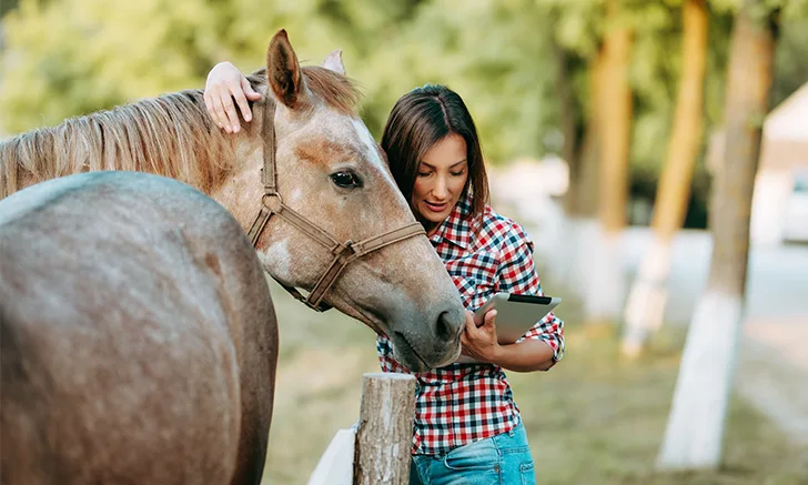 Woman petting horse outside