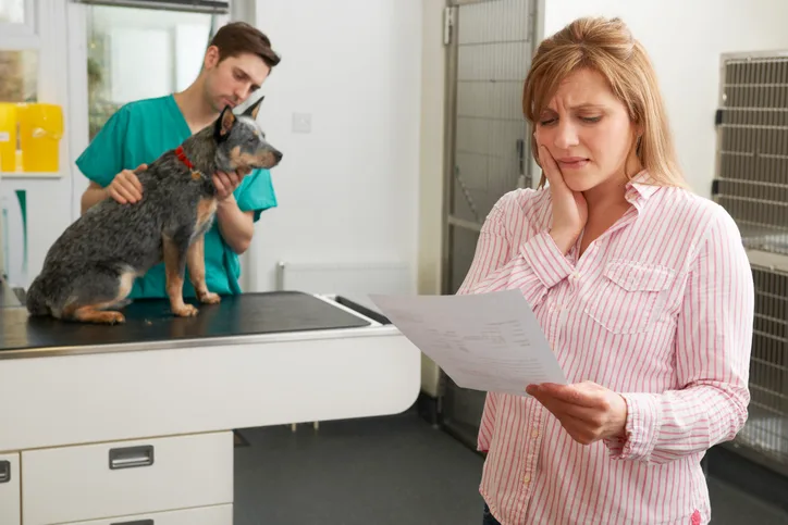 A concerned client looking at a veterinary bill as a veterinary professional cares for her dog in the background.