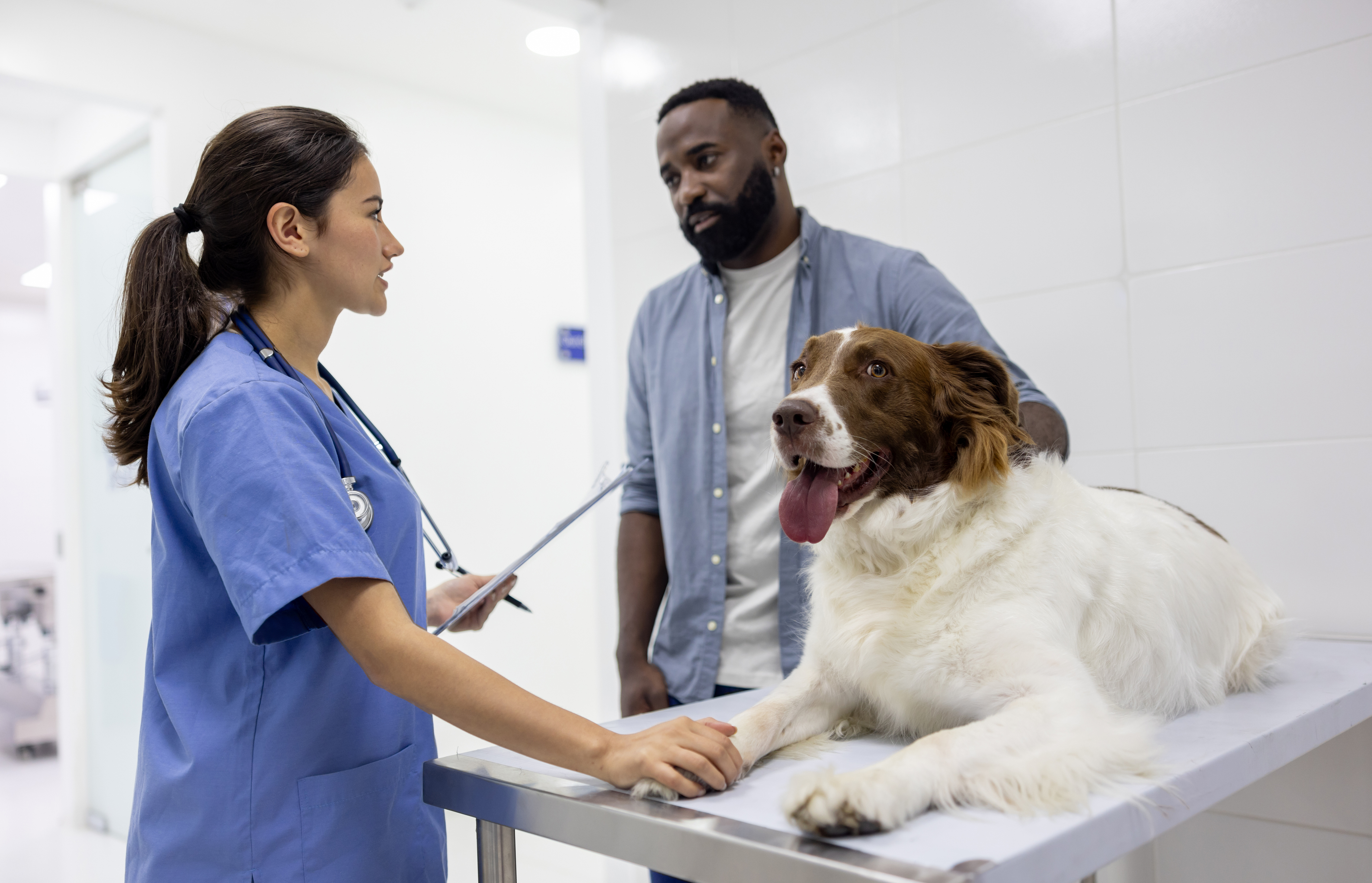 Resources for Veterinary Students