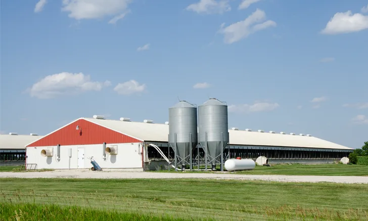A commercial pig barn facility.
