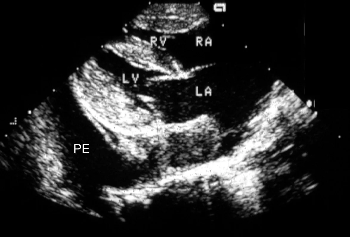 selected slide image