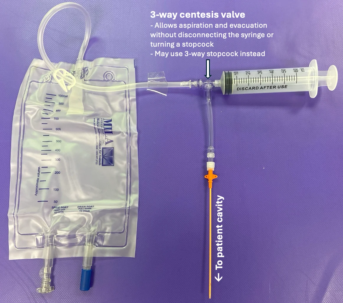 Equipment needed for a transfusion circuit.