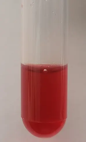 Close-up of clear test tube containing translucent red liquid.
