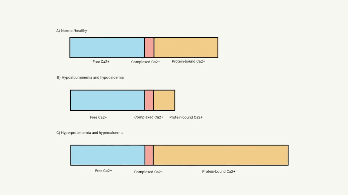 Colored bar diagrams illustrating distribution of different calcium forms in normal, hypo-, and hyperproteinemic states.
