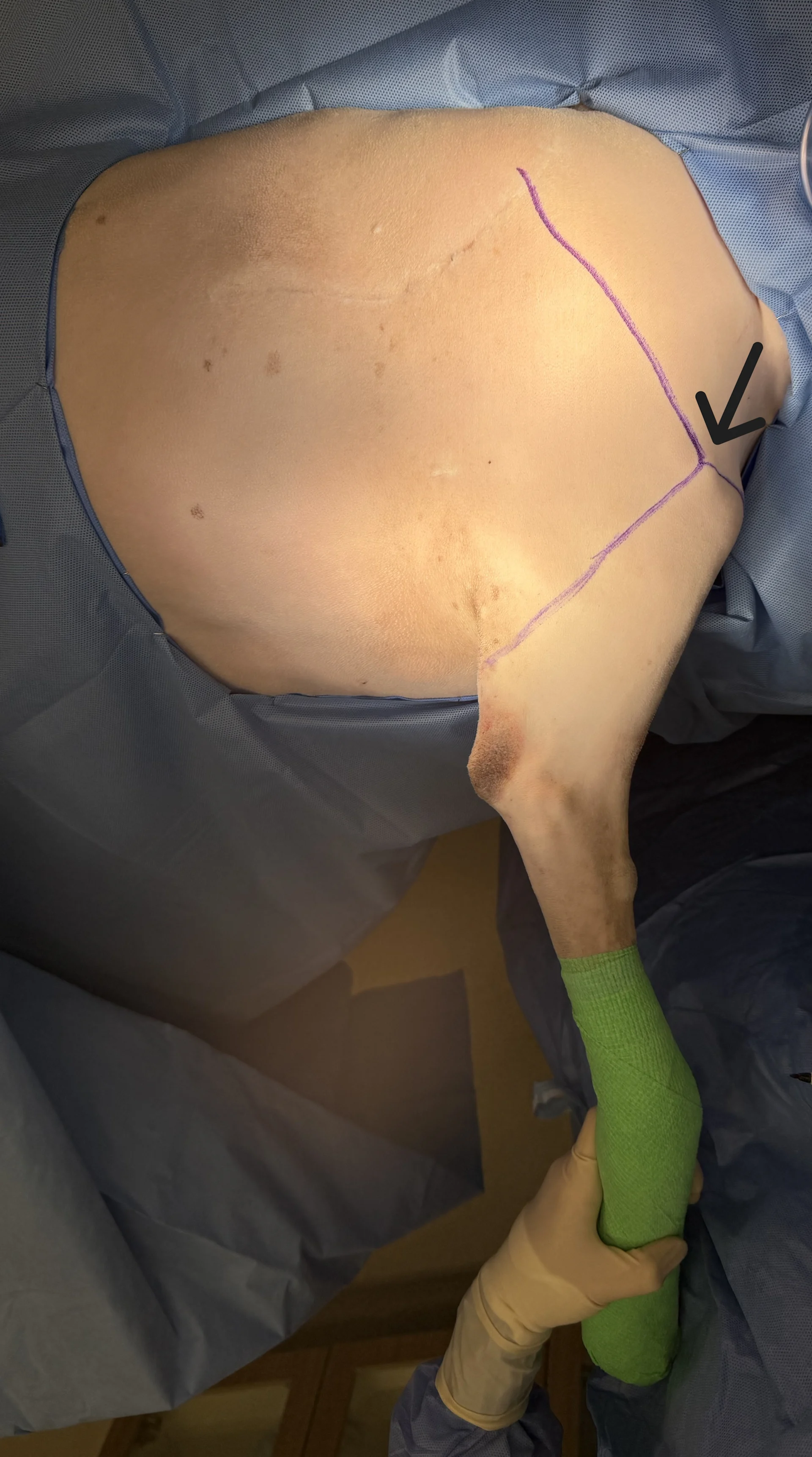 selected slide image