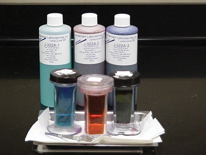 selected slide image