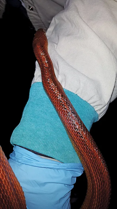 Featured Image