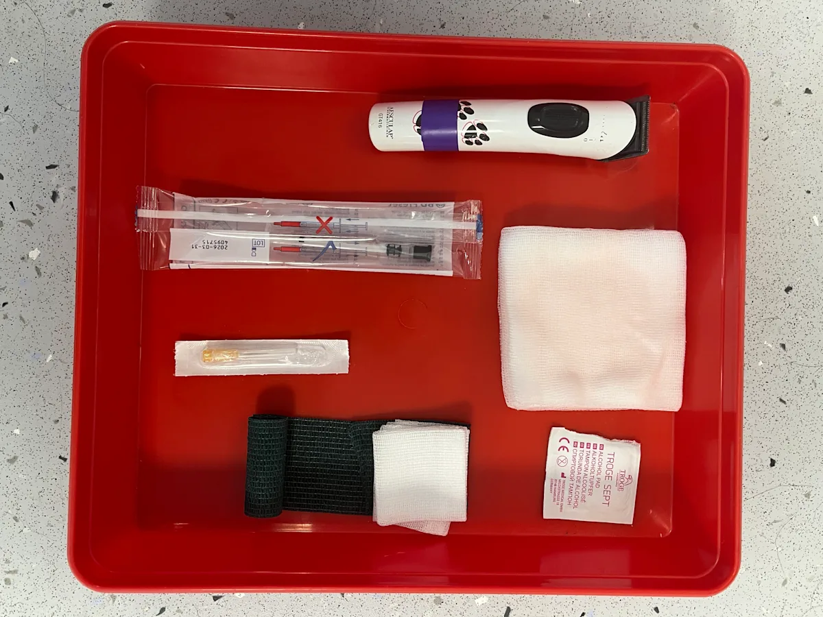 Procedure supplies in a box.