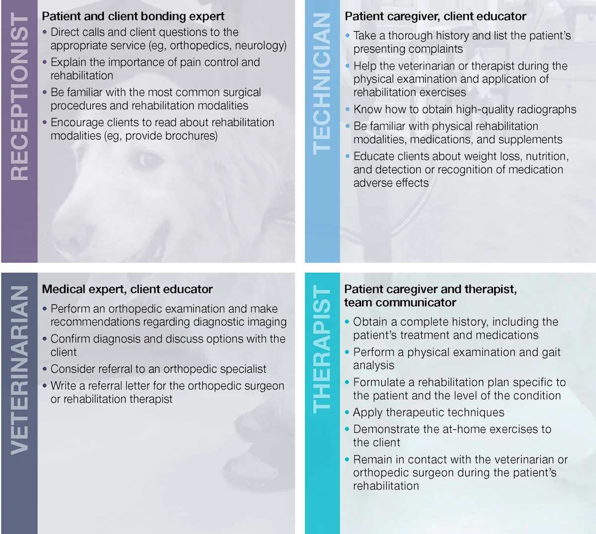 Boxes separating the team roles and descriptions