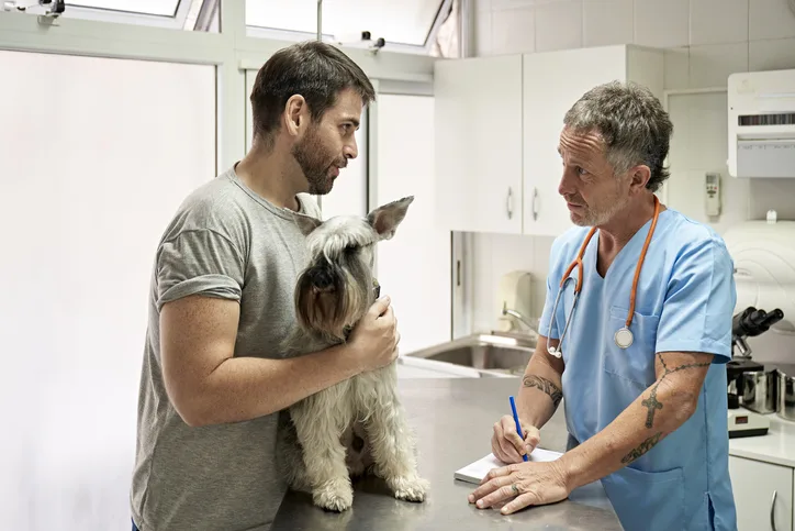 A client holding his pet as he's talking with a veterinary professional.