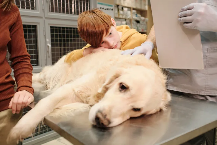 A young child resting his head on the torso of a dog on an examination table.