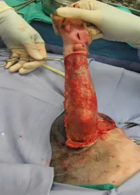 selected slide image