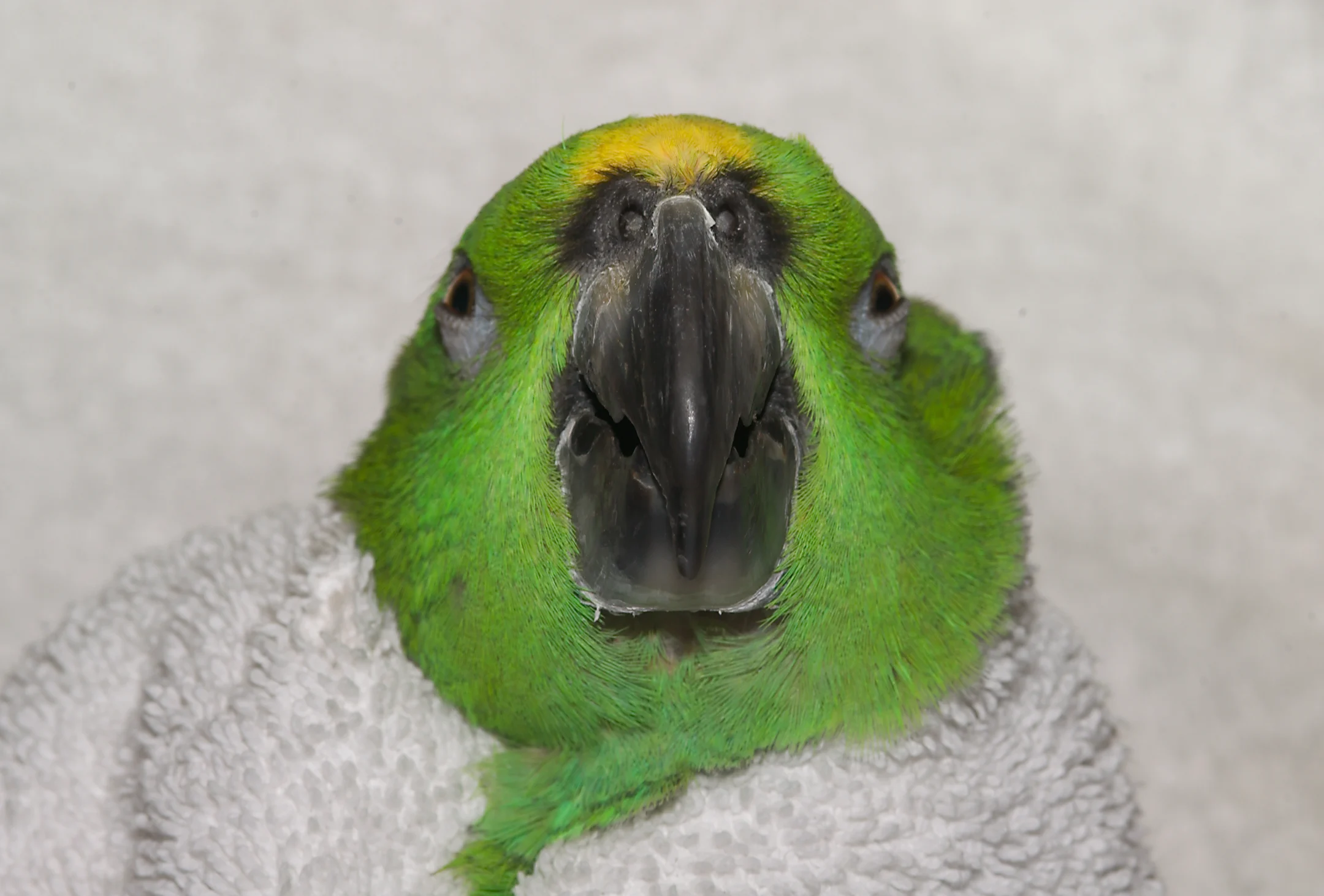 Featured Image