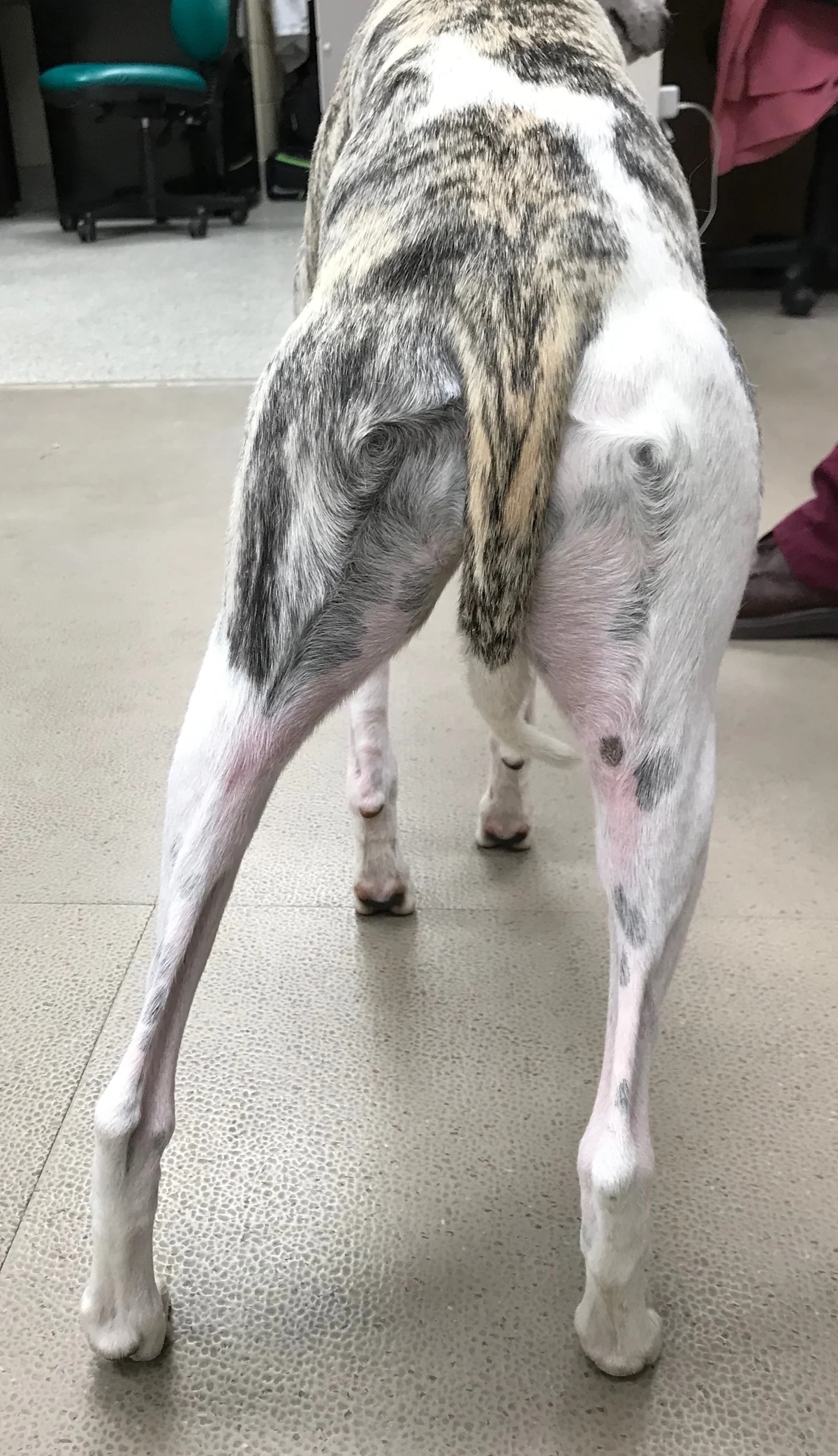 selected slide image