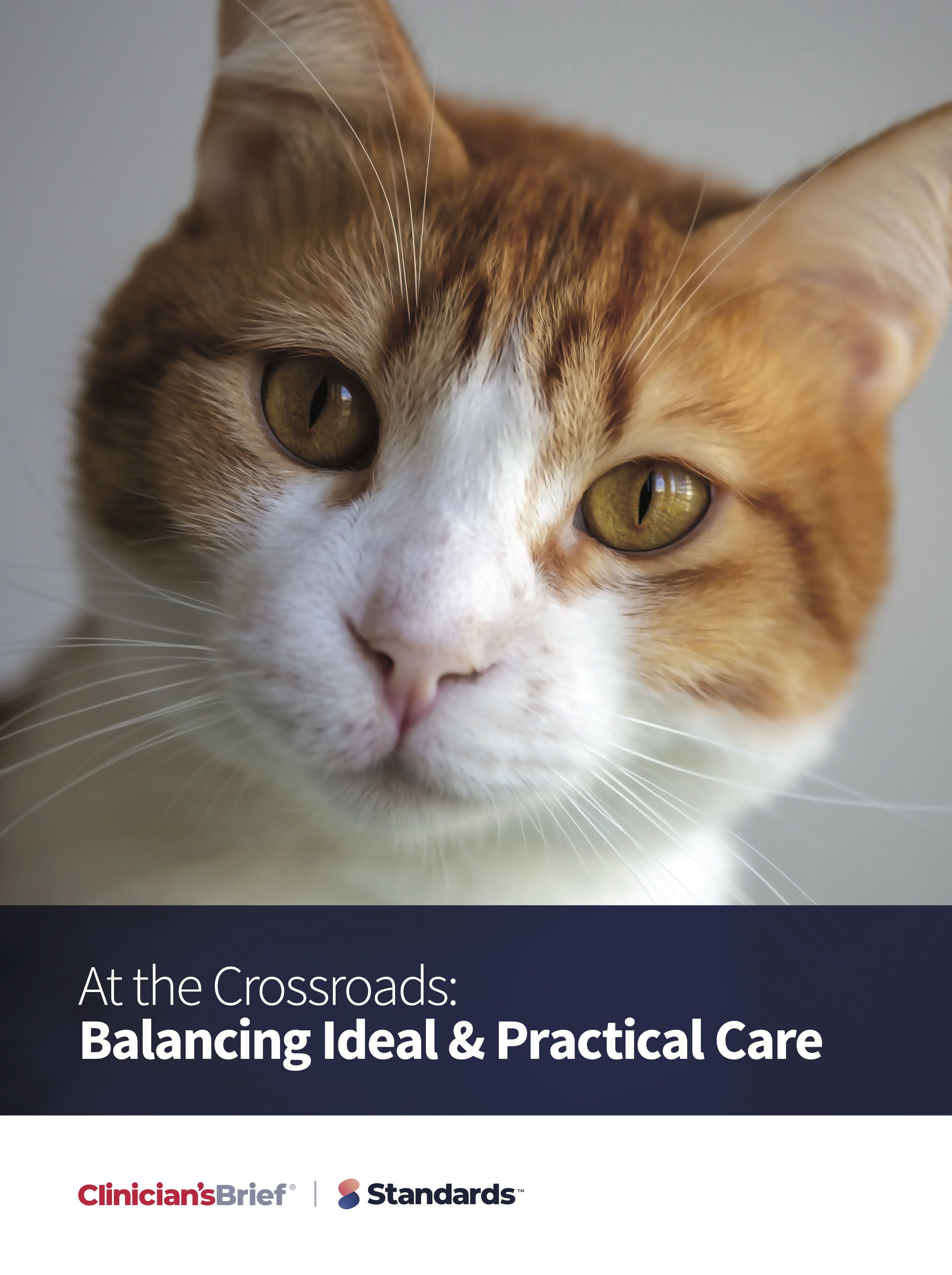 A Free E-Book For Modern Veterinarians
