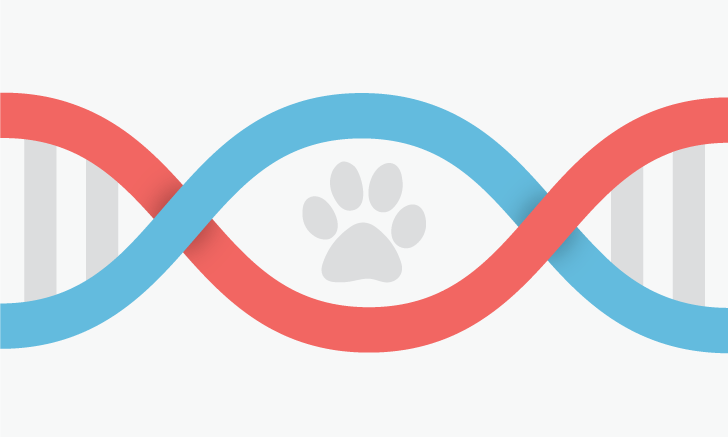 K9 best sale genetic testing