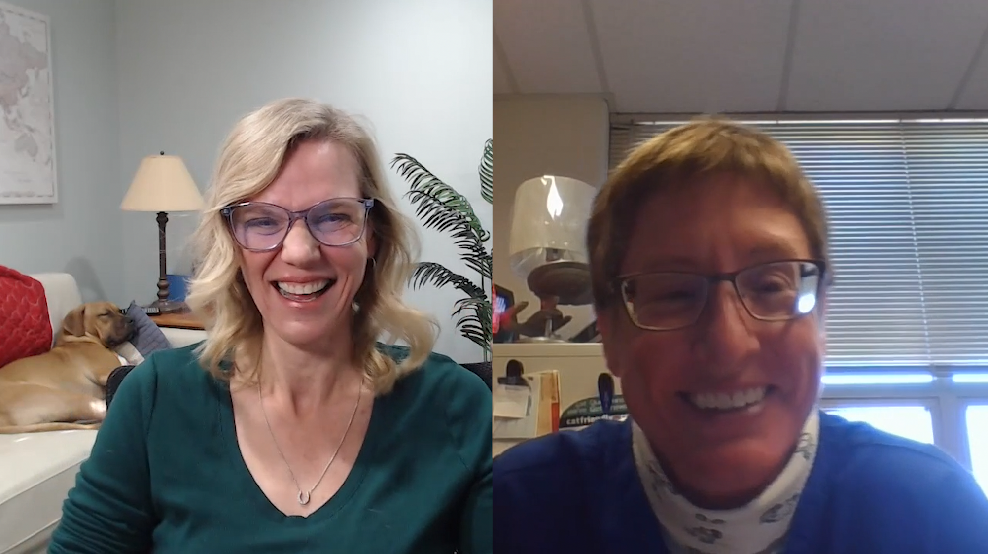 Podcast: Stabilization of Cats With Urethral Obstruction Prior to Referral