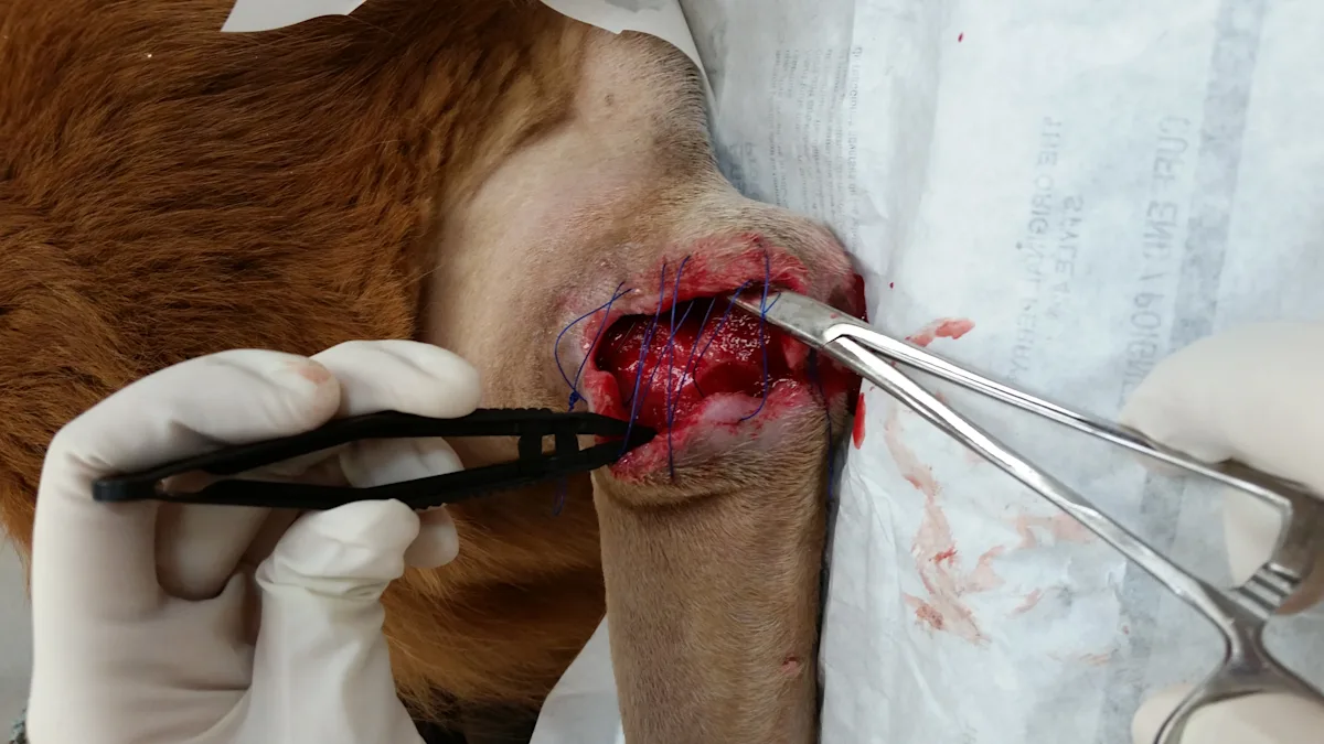 A large open wound over caudal aspect of a dog's elbow before and after treatment.