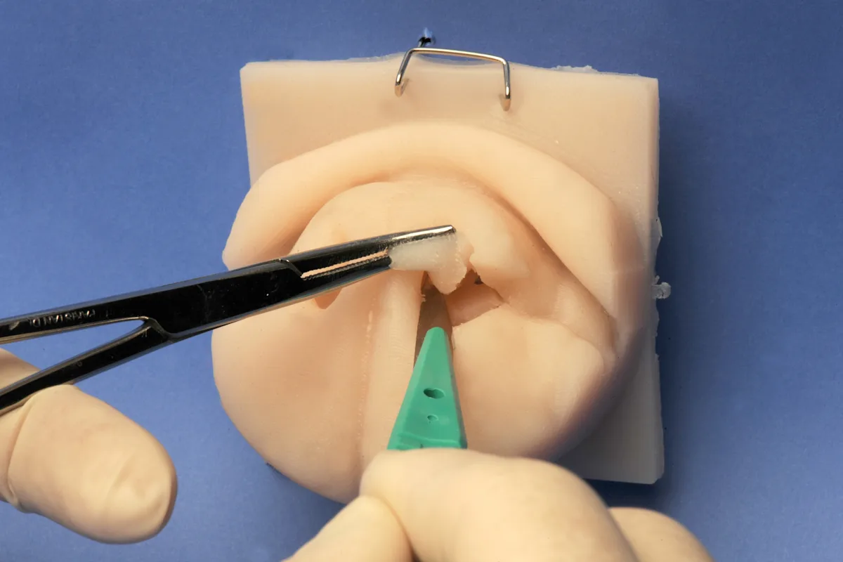 Hemostats grasping the loose end of the alar fold while a scalpel completes the final transection of the fold inside the nares of a silicone model of a dog's nose.