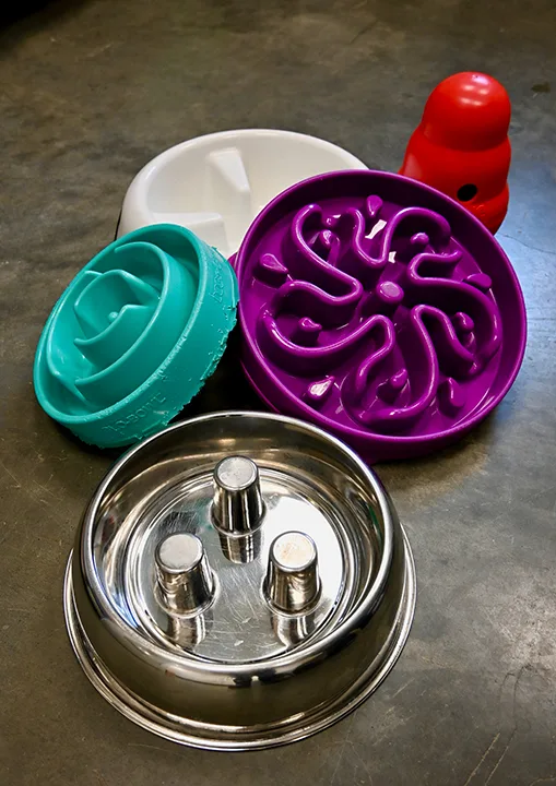 selected slide image