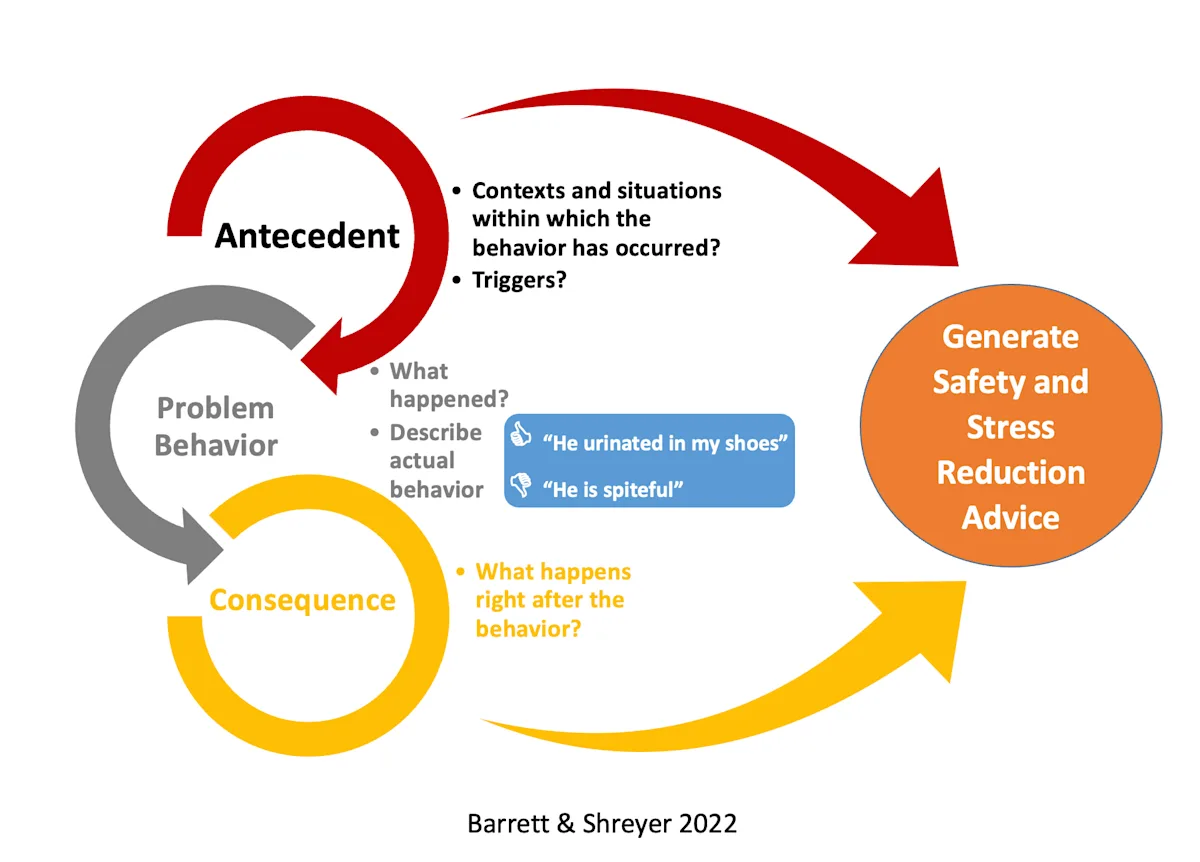 Diagram illustrating the antecedent–behavior–consequence applied behavior analysis approach to patient history.