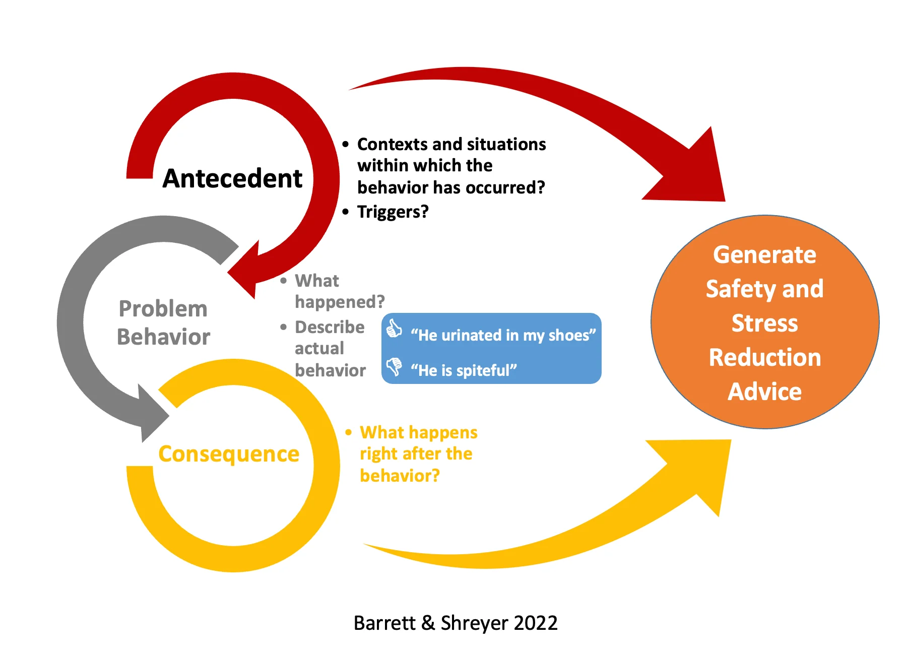 Diagram illustrating the antecedent–behavior–consequence applied behavior analysis approach to patient history.