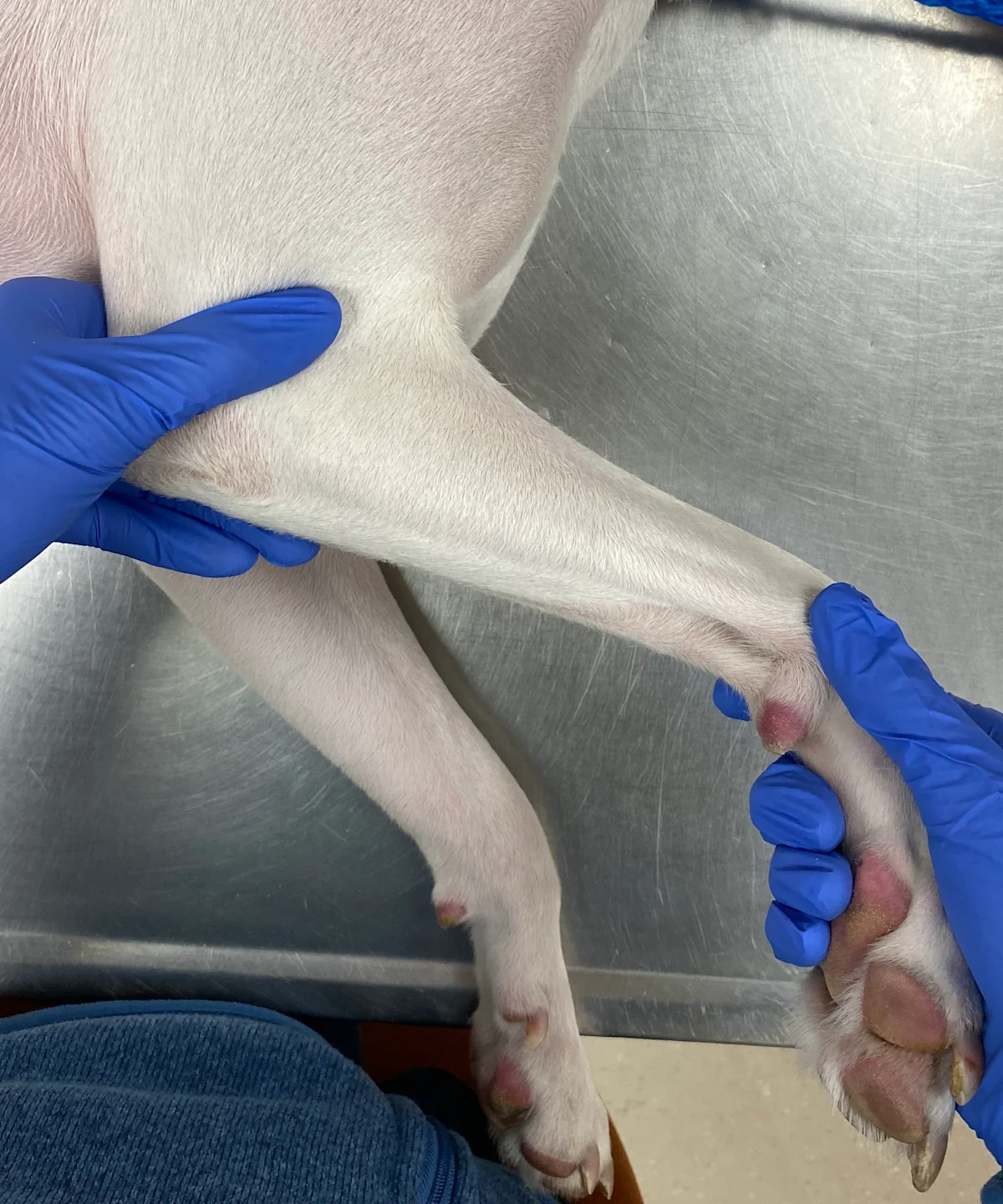 selected slide image