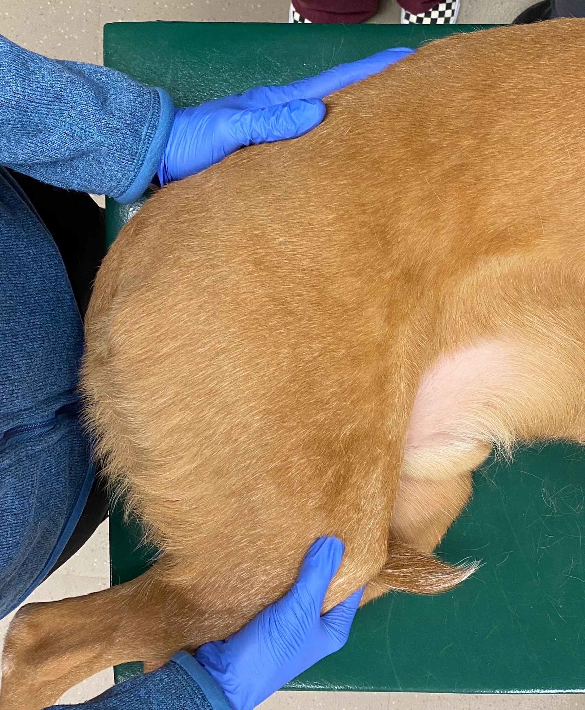 selected slide image