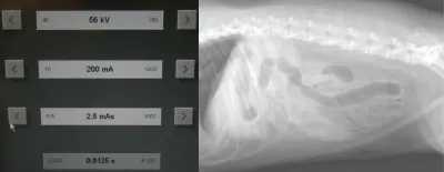 selected slide image