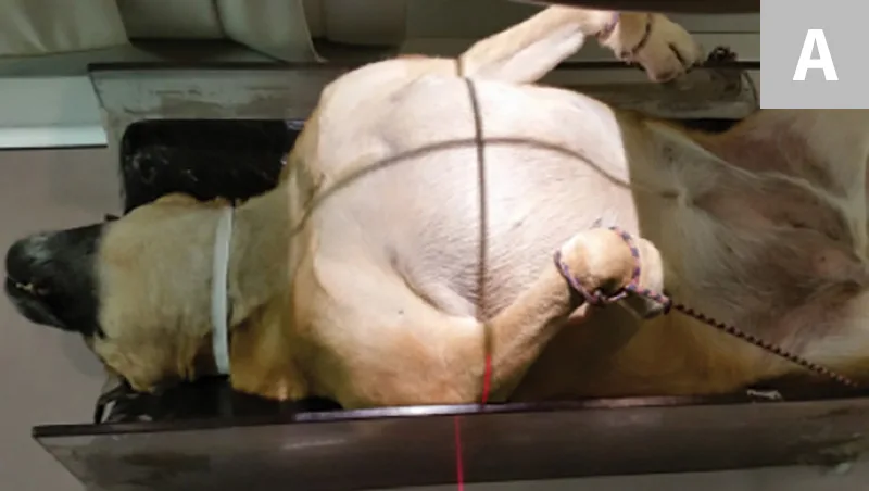 selected slide image