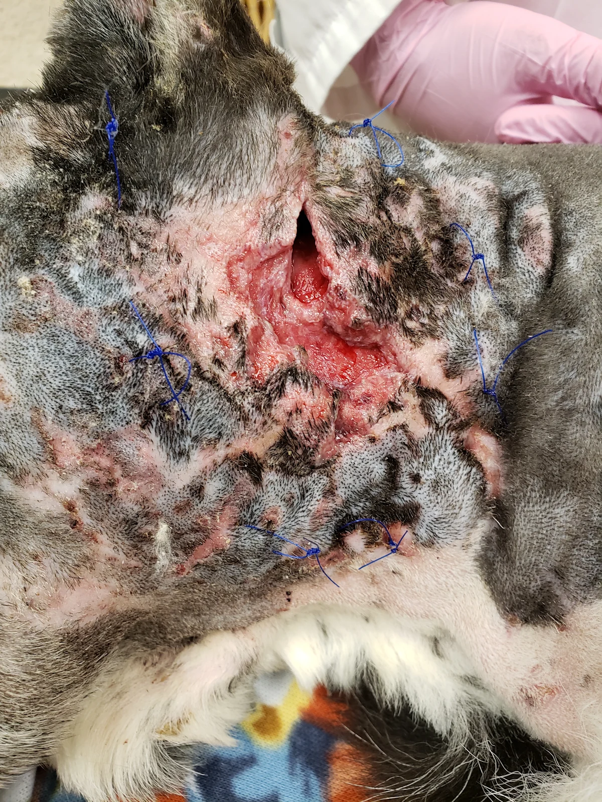 selected slide image