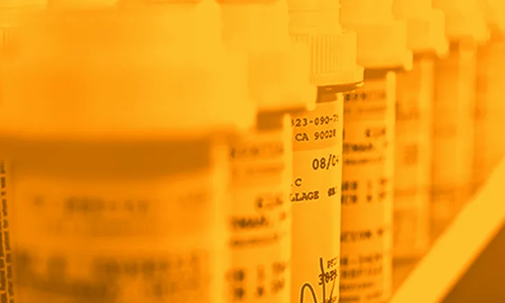 A row of prescription medication bottles is displayed on a shelf, with labels indicating various veterinary medications. The bottles are partially obscured by a warm orange tint, highlighting their importance in clinical settings.