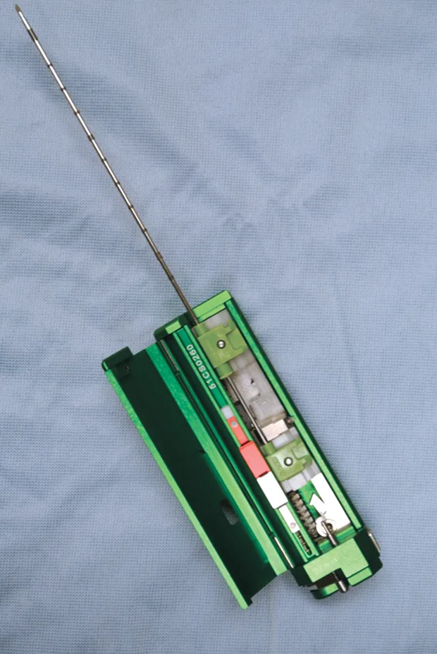 selected slide image