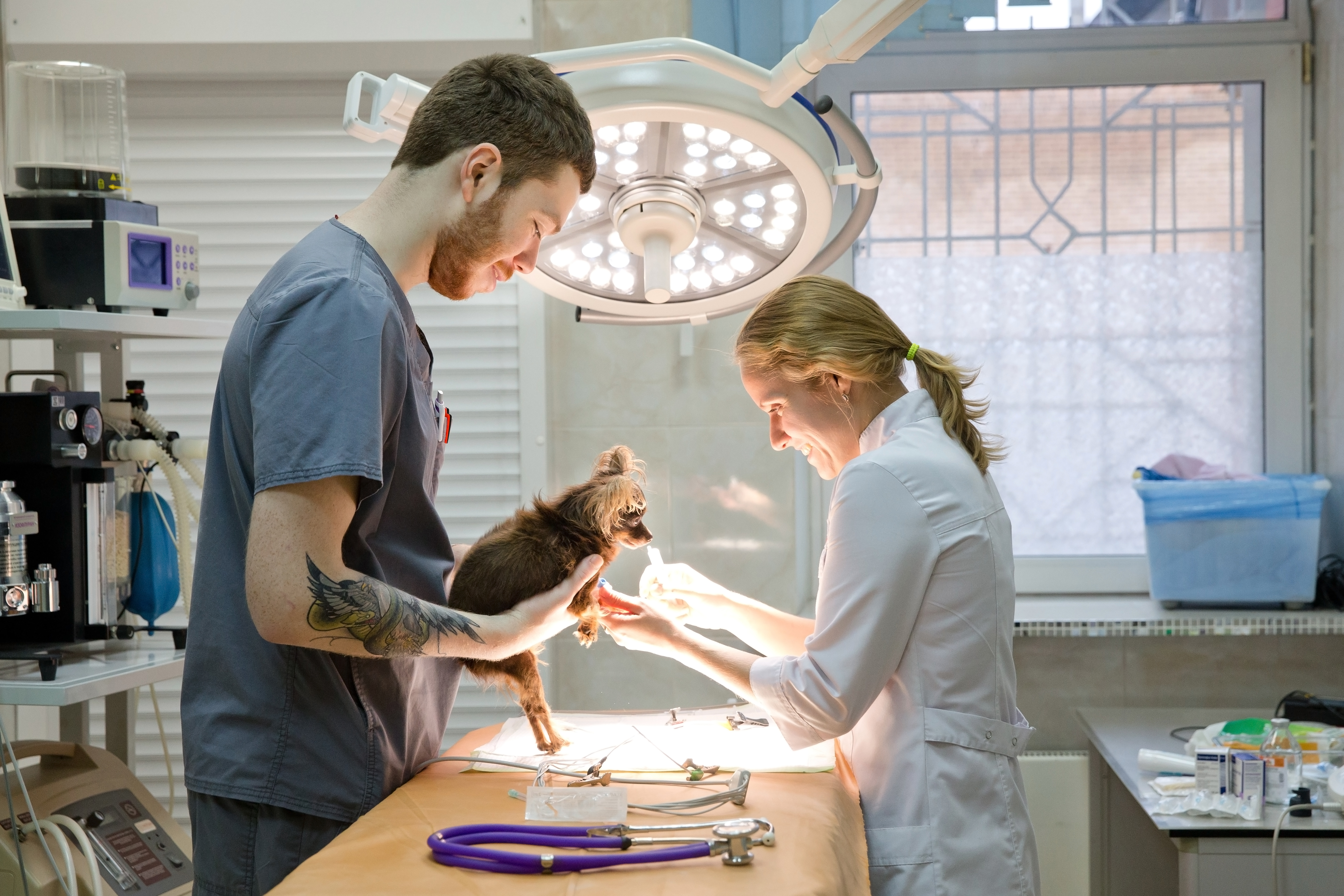 Veterinary medicine supplier Dubai