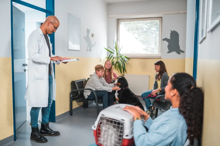 Veterinary professional standing in a busy practice's waiting room. 