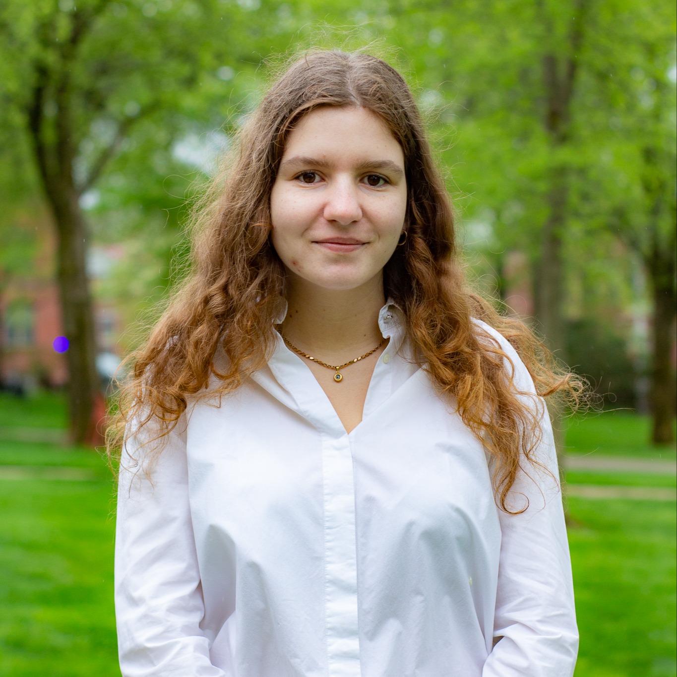 Duru Huseyni's profile photo