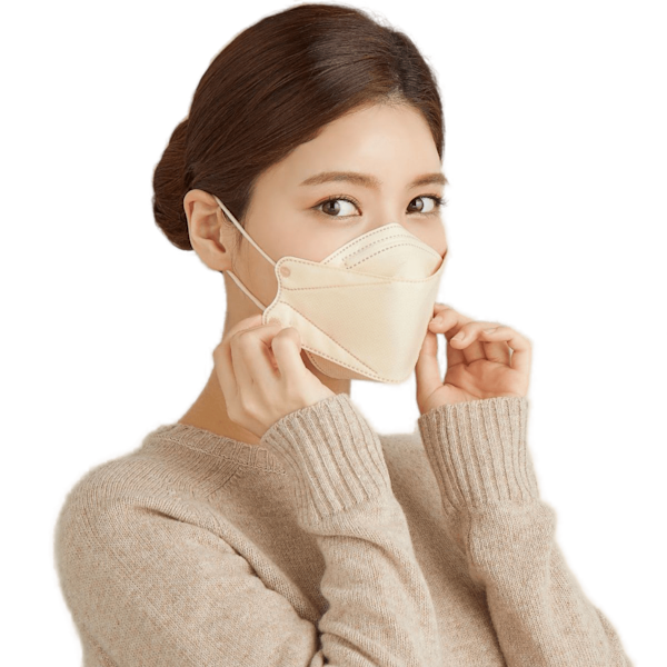 An Mask KF94 Mask Guide | Learn with Project N95