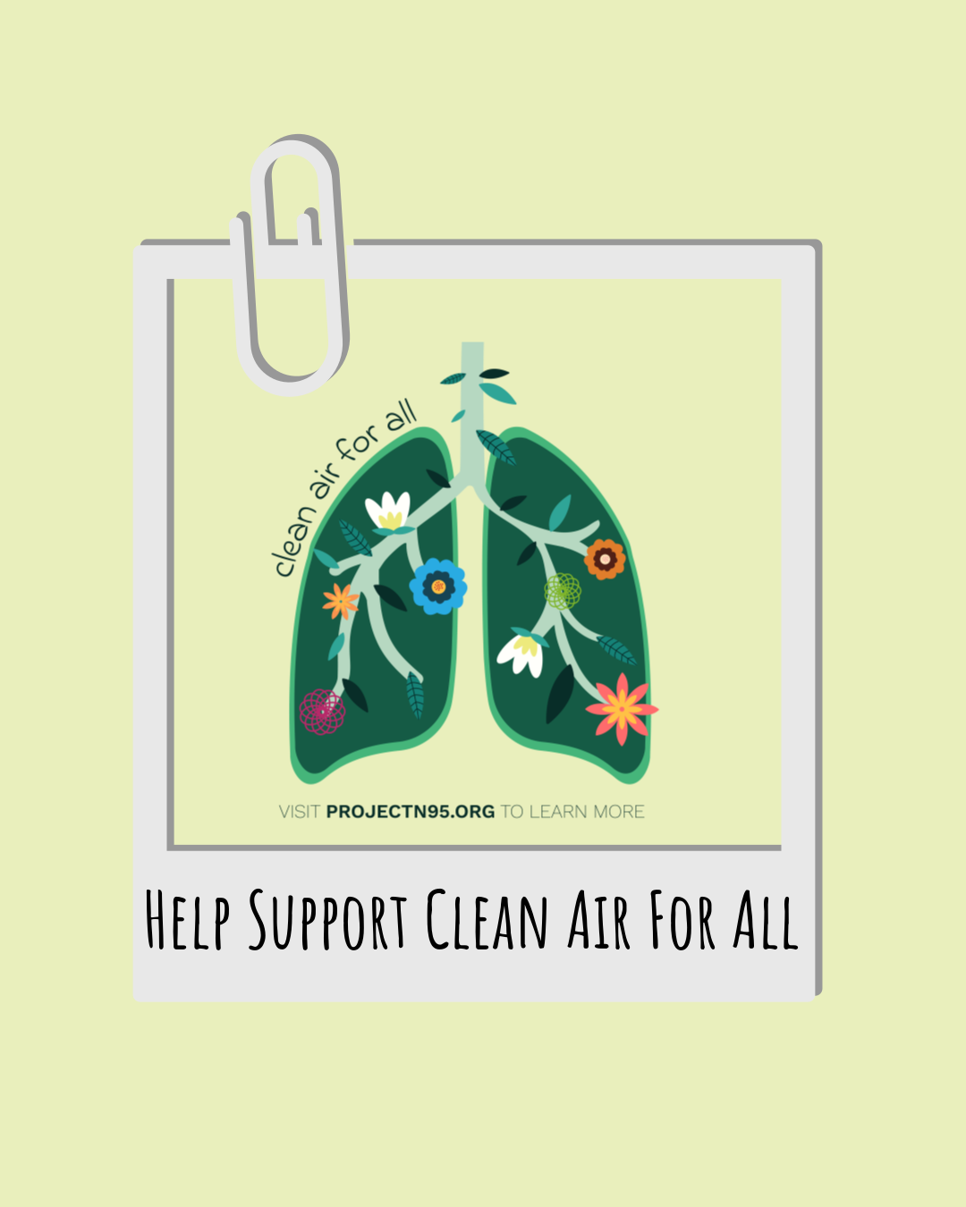 Clean Air For All Lung Image