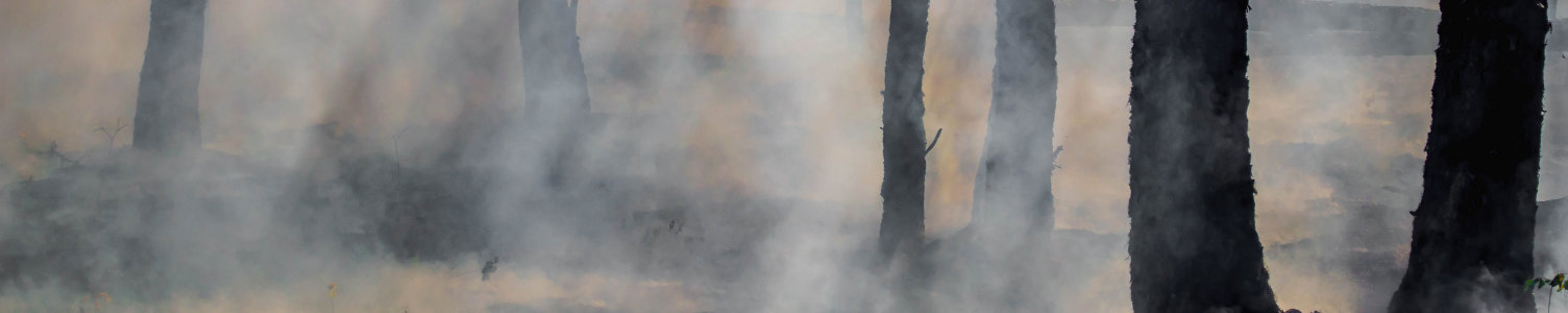 Smoke and glowing embers dominate the forest as wildland firefighters battle the last of the flames of the Harding Fire in north east Saskatchewan by Joanne Francis [Full Landscape]