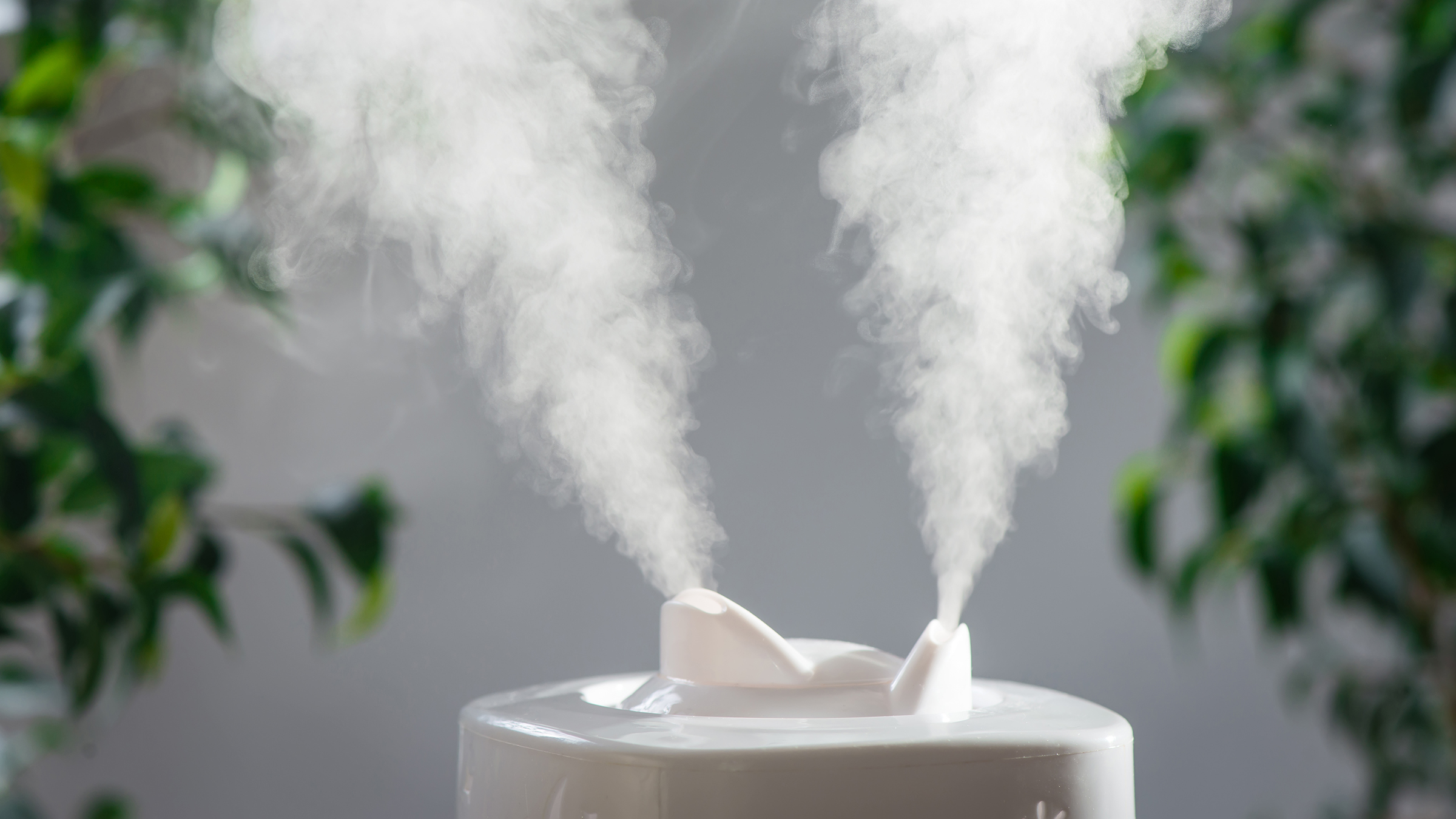 Humidifier Benefits For Face